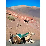 Isla De Lobos Вилла *