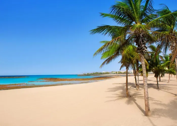 Isla De Lobos * 卡门港