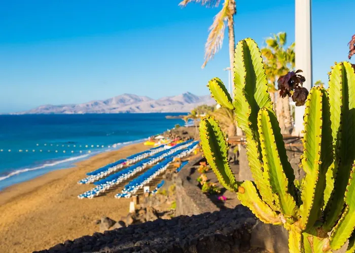 Isla De Lobos * 卡门港