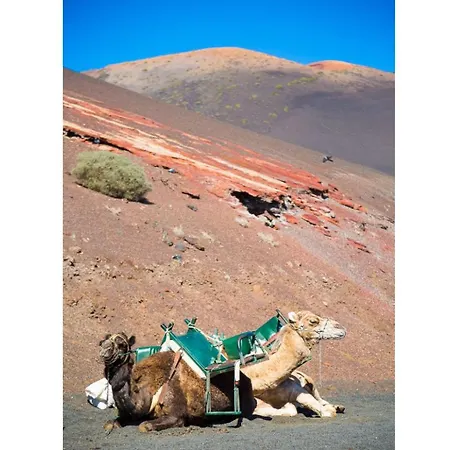 Isla De Lobos Villa *