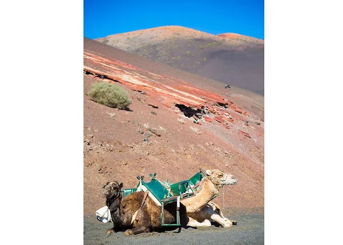 Isla De Lobos Villa *